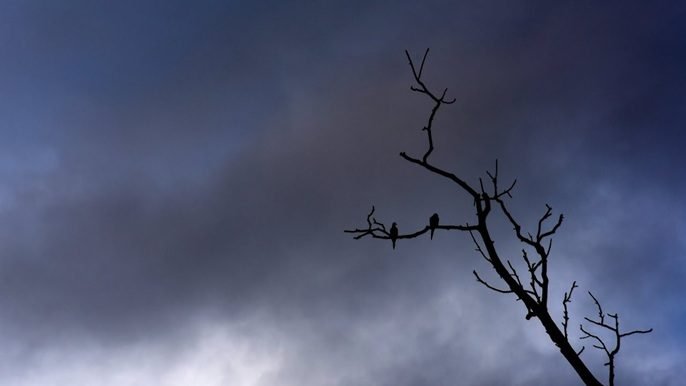 ICT JILLA Put to Death medium thumbnail